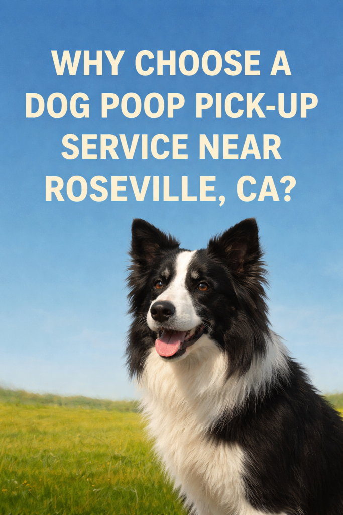 chatgpt image mar 18, 2026, 06 12 43 pm