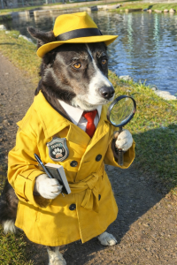 file 00000000525c71fdb1466aac4594e6ee 1