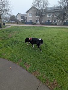 pxl 20260118 200627032