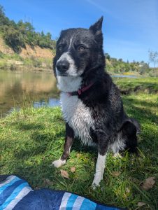 pxl 20260314 194817700